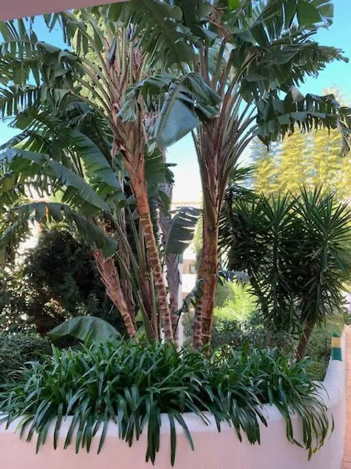 Appartement Pueblo Del Parque, Parc La Paloma Benalmadena Apartment